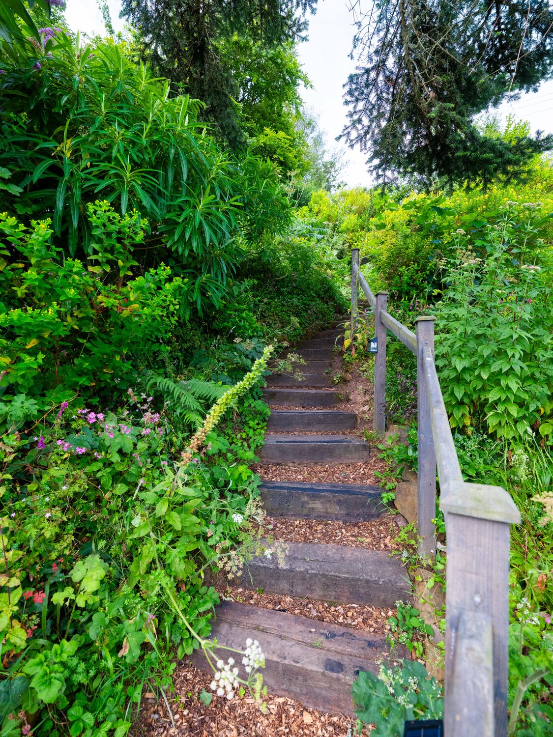 Garden steps up to the summer house