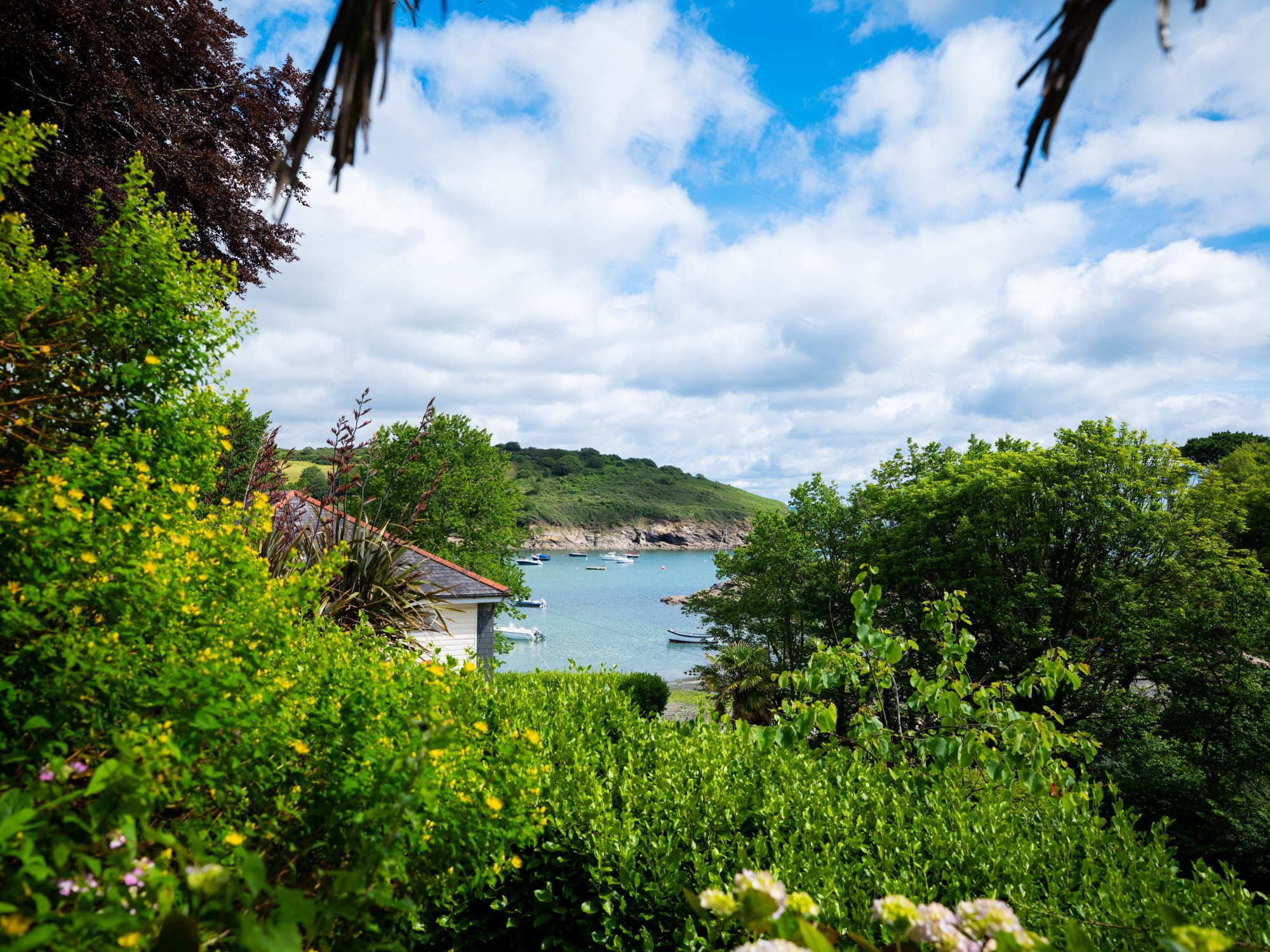Garden and coastline at Carne Haven